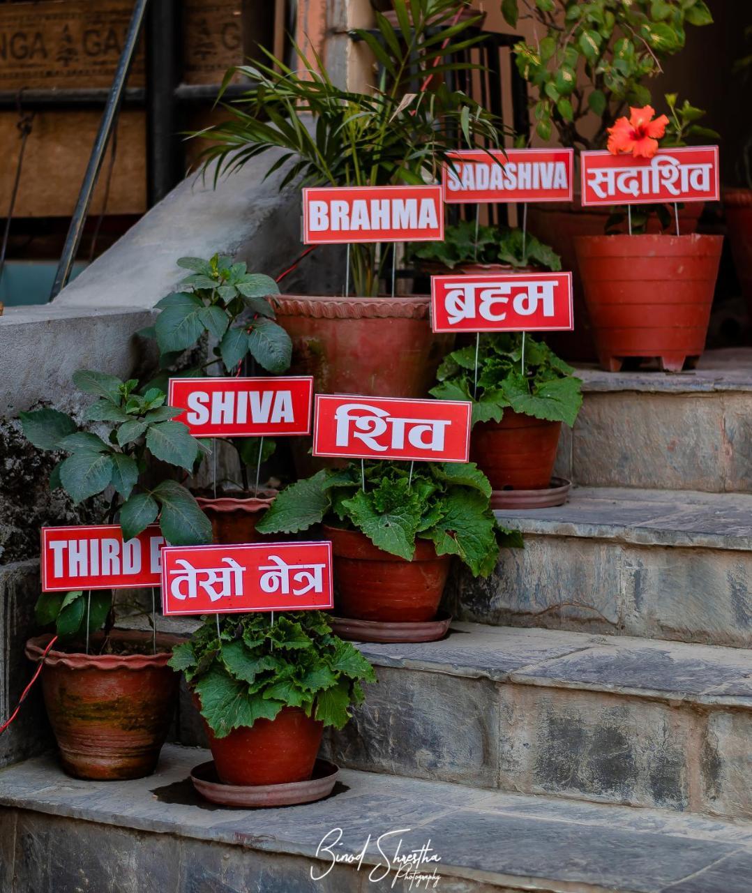 Grand Shivalaya Hotel And Restro Pokhara Exterior foto
